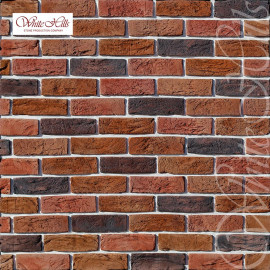 Linc Brick 366-60